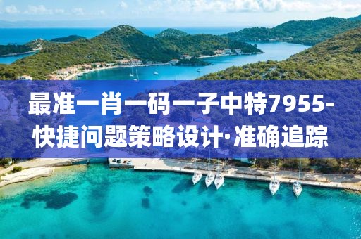 最準(zhǔn)一肖一碼一子中特7955-快捷問題策略設(shè)計(jì)·準(zhǔn)確追蹤