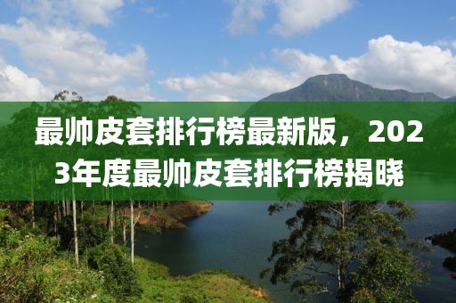 最帥皮套排行榜最新版，2023年度最帥皮套排行榜揭曉