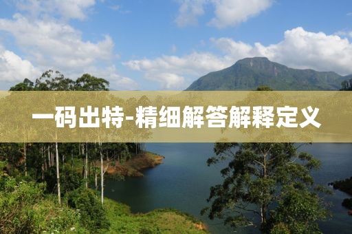 一碼出特-精細(xì)解答解釋定義