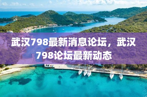 武漢798最新消息論壇，武漢798論壇最新動態(tài)