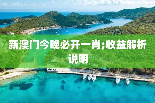 新澳門今晚必開一肖;收益解析說明