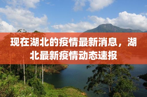 現(xiàn)在湖北的疫情最新消息，湖北最新疫情動(dòng)態(tài)速報(bào)
