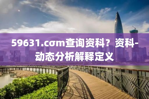 59631.cσm查詢資科？資科-動態(tài)分析解釋定義