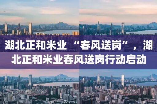 湖北正和米業(yè) “春風(fēng)送崗”，湖北正和米業(yè)春風(fēng)送崗行動(dòng)啟動(dòng)