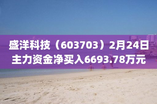 盛洋科技（603703）2月24日主力資金凈買入6693.78萬元