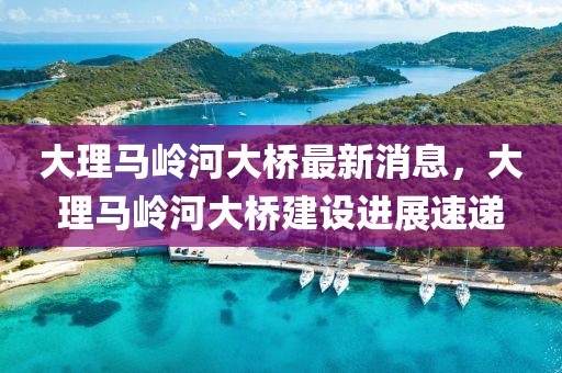 大理馬嶺河大橋最新消息，大理馬嶺河大橋建設(shè)進(jìn)展速遞