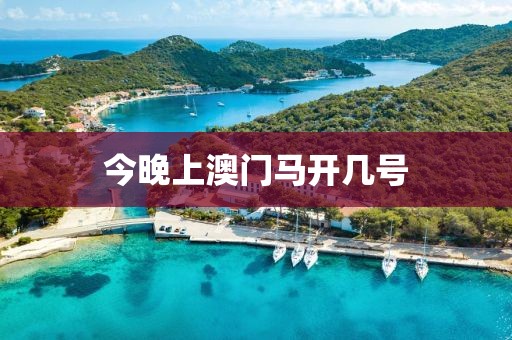 今晚上澳門馬開幾號