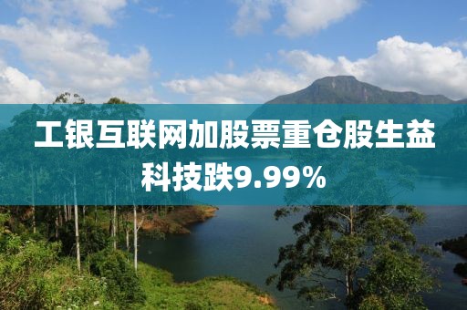 工銀互聯(lián)網(wǎng)加股票重倉股生益科技跌9.99%