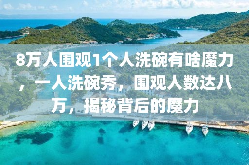 8萬(wàn)人圍觀1個(gè)人洗碗有啥魔力，一人洗碗秀，圍觀人數(shù)達(dá)八萬(wàn)，揭秘背后的魔力