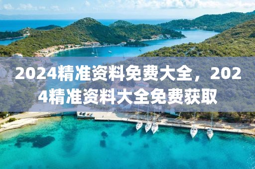 2024精準(zhǔn)資料免費(fèi)大全，2024精準(zhǔn)資料大全免費(fèi)獲取
