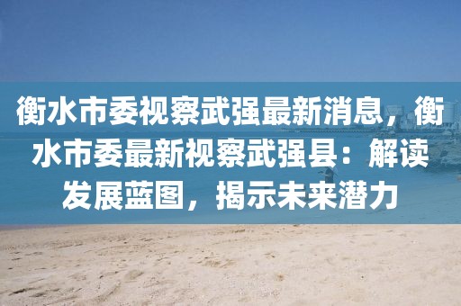 衡水市委視察武強(qiáng)最新消息，衡水市委最新視察武強(qiáng)縣：解讀發(fā)展藍(lán)圖，揭示未來潛力