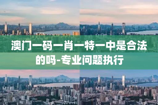澳門(mén)一碼一肖一特一中是合法的嗎-專業(yè)問(wèn)題執(zhí)行
