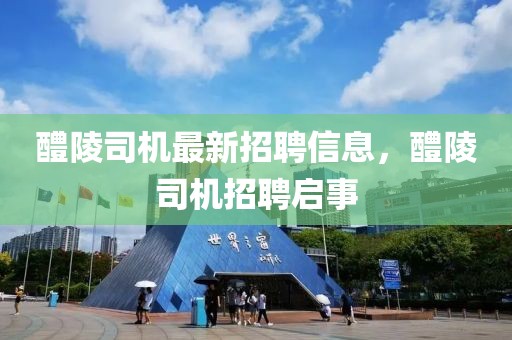 醴陵司機最新招聘信息，醴陵司機招聘啟事