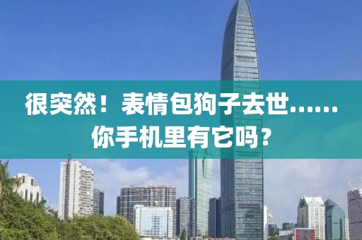 很突然！表情包狗子去世……你手機(jī)里有它嗎？