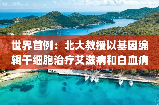 世界首例：北大教授以基因編輯干細(xì)胞治療艾滋病和白血病