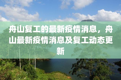 舟山復(fù)工的最新疫情消息，舟山最新疫情消息及復(fù)工動態(tài)更新