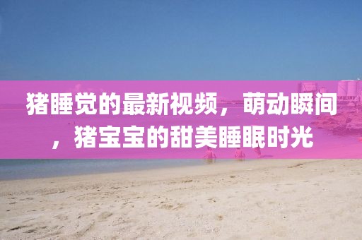 豬睡覺的最新視頻，萌動(dòng)瞬間，豬寶寶的甜美睡眠時(shí)光