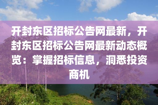 開(kāi)封東區(qū)招標(biāo)公告網(wǎng)最新，開(kāi)封東區(qū)招標(biāo)公告網(wǎng)最新動(dòng)態(tài)概覽：掌握招標(biāo)信息，洞悉投資商機(jī)
