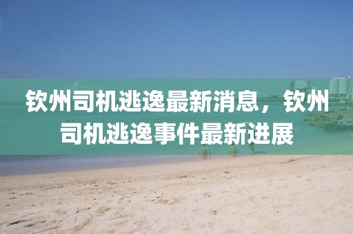 欽州司機逃逸最新消息，欽州司機逃逸事件最新進展