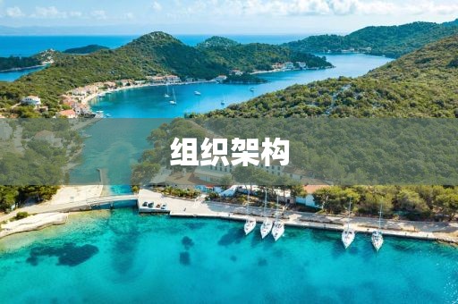 組織架構(gòu)