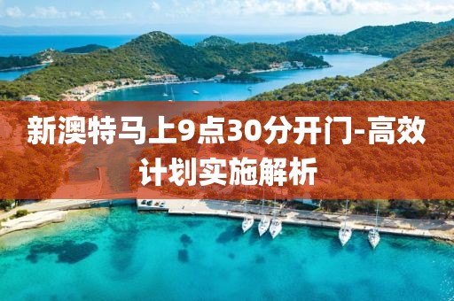 新澳特馬上9點30分開門-高效計劃實施解析