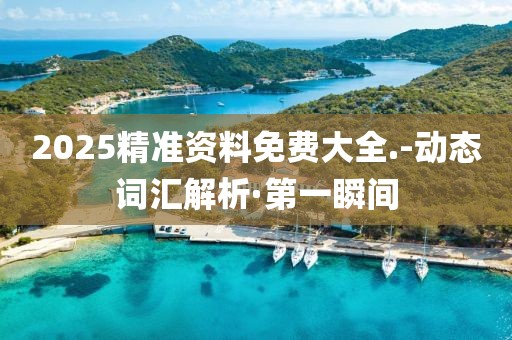 2025精準(zhǔn)資料免費大全.-動態(tài)詞匯解析·第一瞬間