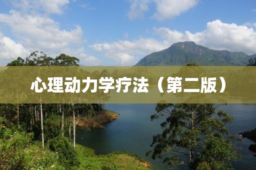 心理動力學(xué)療法（第二版）