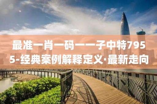 最準(zhǔn)一肖一碼一一子中特7955-經(jīng)典案例解釋定義·最新走向