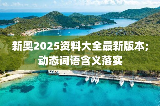 新奧2025資料大全最新版本;動(dòng)態(tài)詞語含義落實(shí)