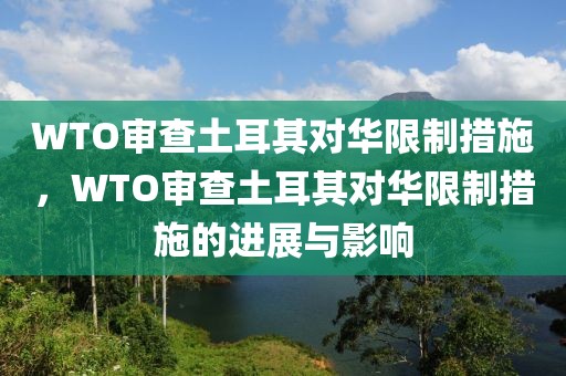 WTO審查土耳其對(duì)華限制措施，WTO審查土耳其對(duì)華限制措施的進(jìn)展與影響