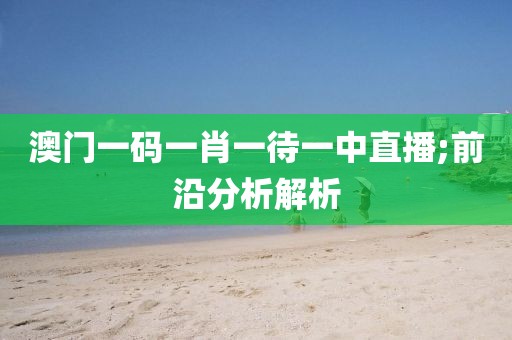 澳門一碼一肖一待一中直播;前沿分析解析