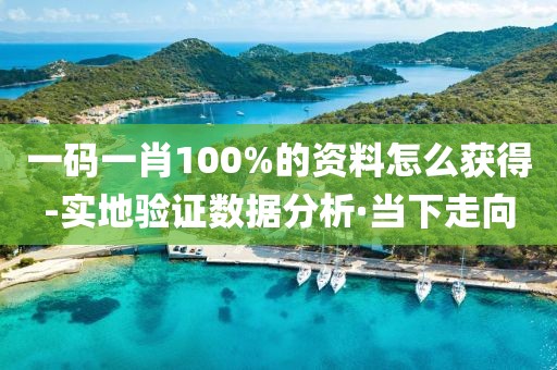 一碼一肖100%的資料怎么獲得-實(shí)地驗(yàn)證數(shù)據(jù)分析·當(dāng)下走向