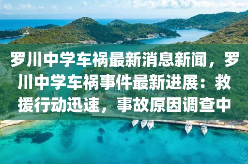 羅川中學(xué)車禍最新消息新聞，羅川中學(xué)車禍?zhǔn)录钚逻M(jìn)展：救援行動迅速，事故原因調(diào)查中
