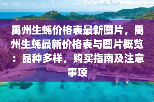 taohe 第20頁