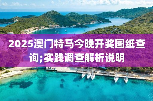 2025澳門特馬今晚開獎圖紙查詢;實踐調查解析說明