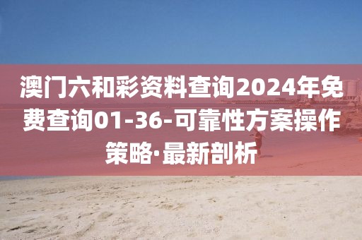 澳門(mén)六和彩資料查詢(xún)2024年免費(fèi)查詢(xún)01-36-可靠性方案操作策略·最新剖析