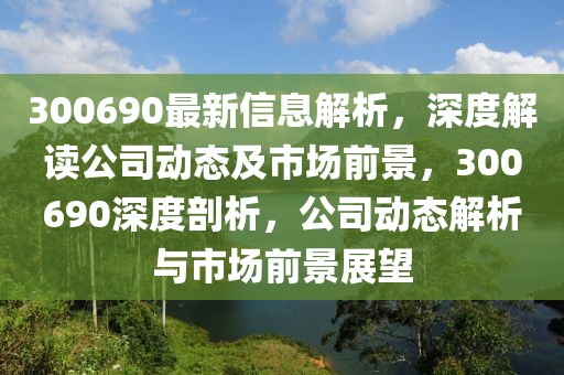 300690最新信息解析，深度解讀公司動(dòng)態(tài)及市場(chǎng)前景，300690深度剖析，公司動(dòng)態(tài)解析與市場(chǎng)前景展望