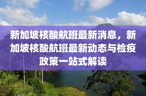 新加坡核酸航班最新消息，新加坡核酸航班最新動(dòng)態(tài)與檢疫政策一站式解讀