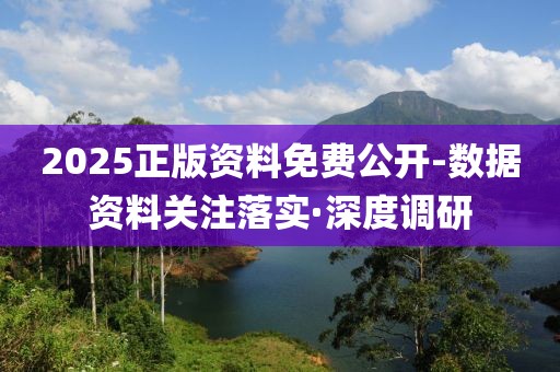 2025正版資料免費(fèi)公開-數(shù)據(jù)資料關(guān)注落實(shí)·深度調(diào)研