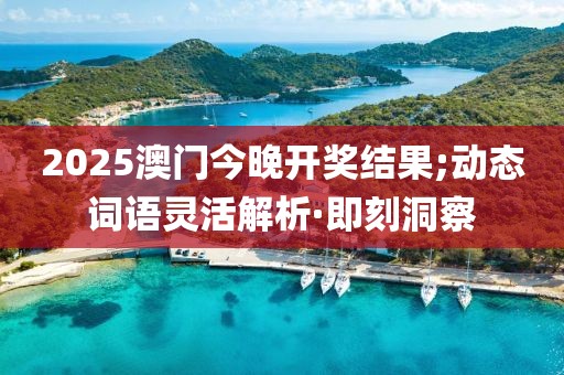 2025澳門今晚開獎(jiǎng)結(jié)果;動(dòng)態(tài)詞語靈活解析·即刻洞察