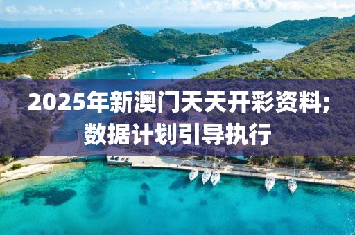 2025年新澳門天天開彩資料;數(shù)據(jù)計劃引導(dǎo)執(zhí)行