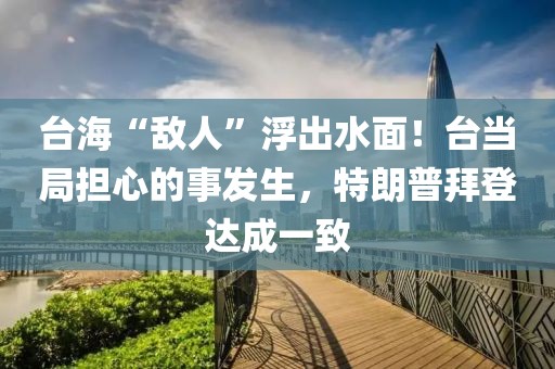 臺(tái)?！皵橙恕备〕鏊?！臺(tái)當(dāng)局擔(dān)心的事發(fā)生，特朗普拜登達(dá)成一致