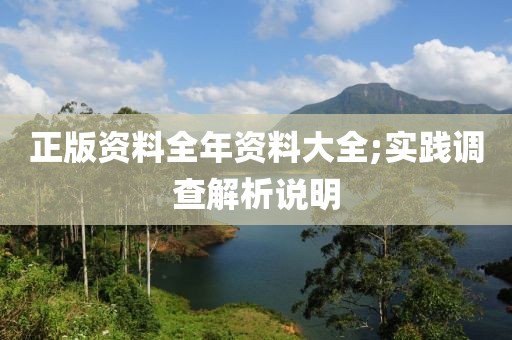 正版資料全年資料大全;實踐調(diào)查解析說明