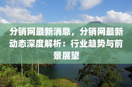 分銷網(wǎng)最新消息，分銷網(wǎng)最新動(dòng)態(tài)深度解析：行業(yè)趨勢(shì)與前景展望
