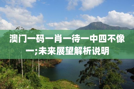 澳門一碼一肖一待一中四不像一;未來展望解析說明