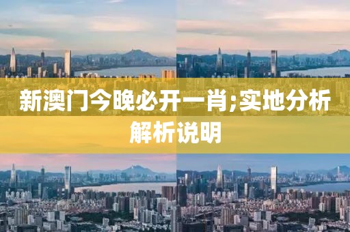 新澳門今晚必開一肖;實地分析解析說明