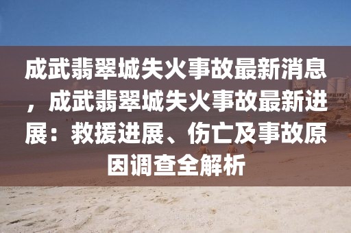 成武翡翠城失火事故最新消息，成武翡翠城失火事故最新進(jìn)展：救援進(jìn)展、傷亡及事故原因調(diào)查全解析