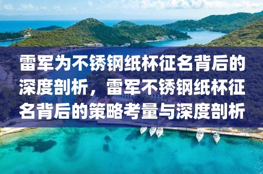 雷軍為不銹鋼紙杯征名背后的深度剖析，雷軍不銹鋼紙杯征名背后的策略考量與深度剖析