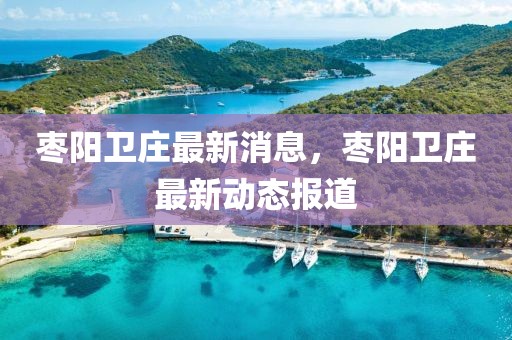 棗陽衛(wèi)莊最新消息，棗陽衛(wèi)莊最新動態(tài)報道