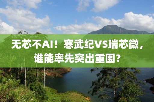無(wú)芯不AI！寒武紀(jì)VS瑞芯微，誰(shuí)能率先突出重圍？